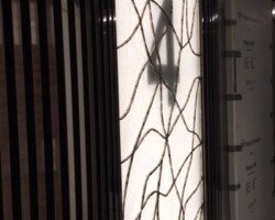 Hotel floor wayfinding
